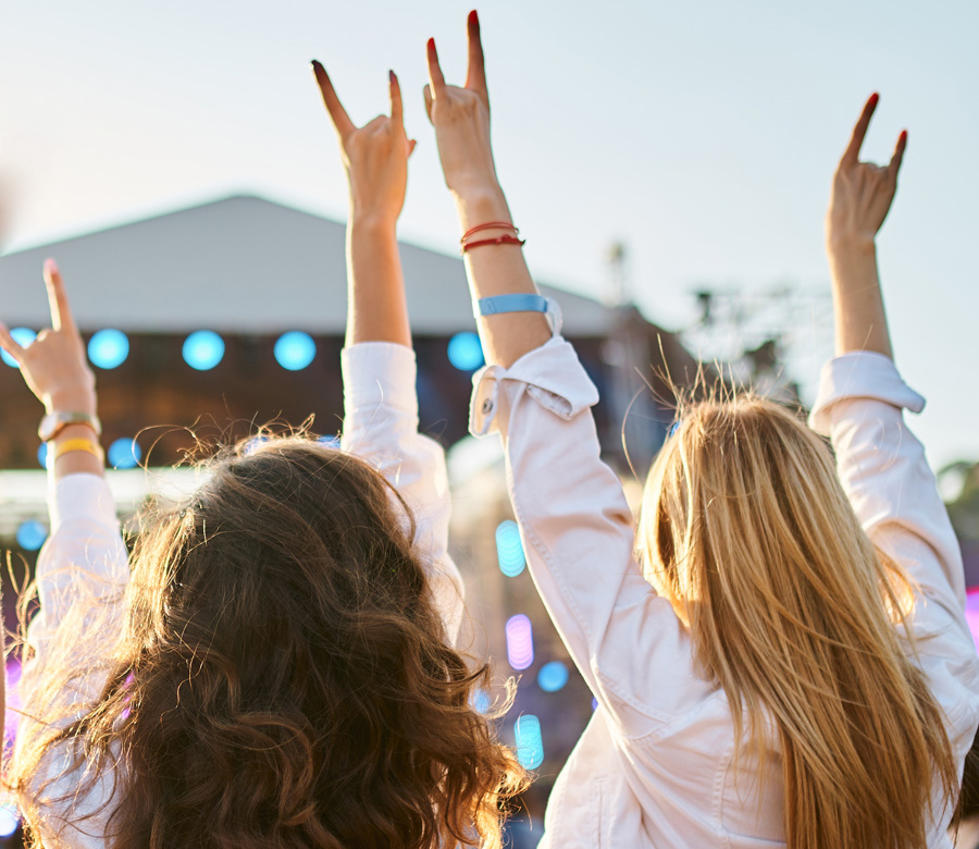 Image of two women from behind their heads at a concert