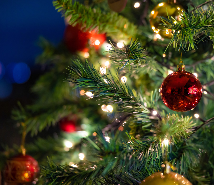 Close up image of a Christmas tree