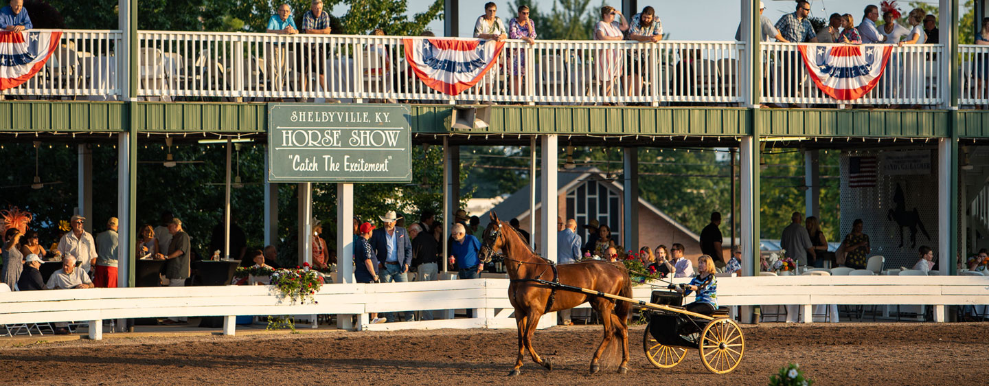 Image of a horse show in Shelbyville.