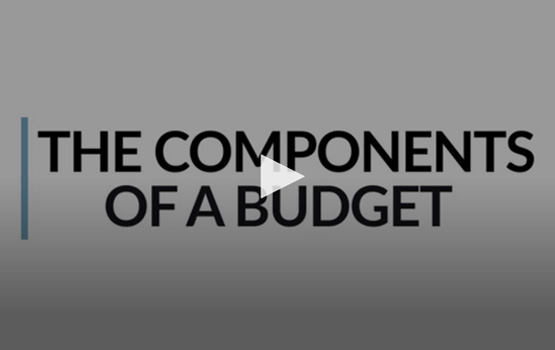 Opening Screen of The Components of a Budget video.